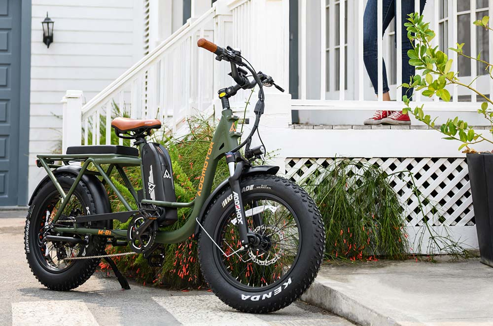 Addmotor M81 StepThrough Electric Cargo Bike Review 2024