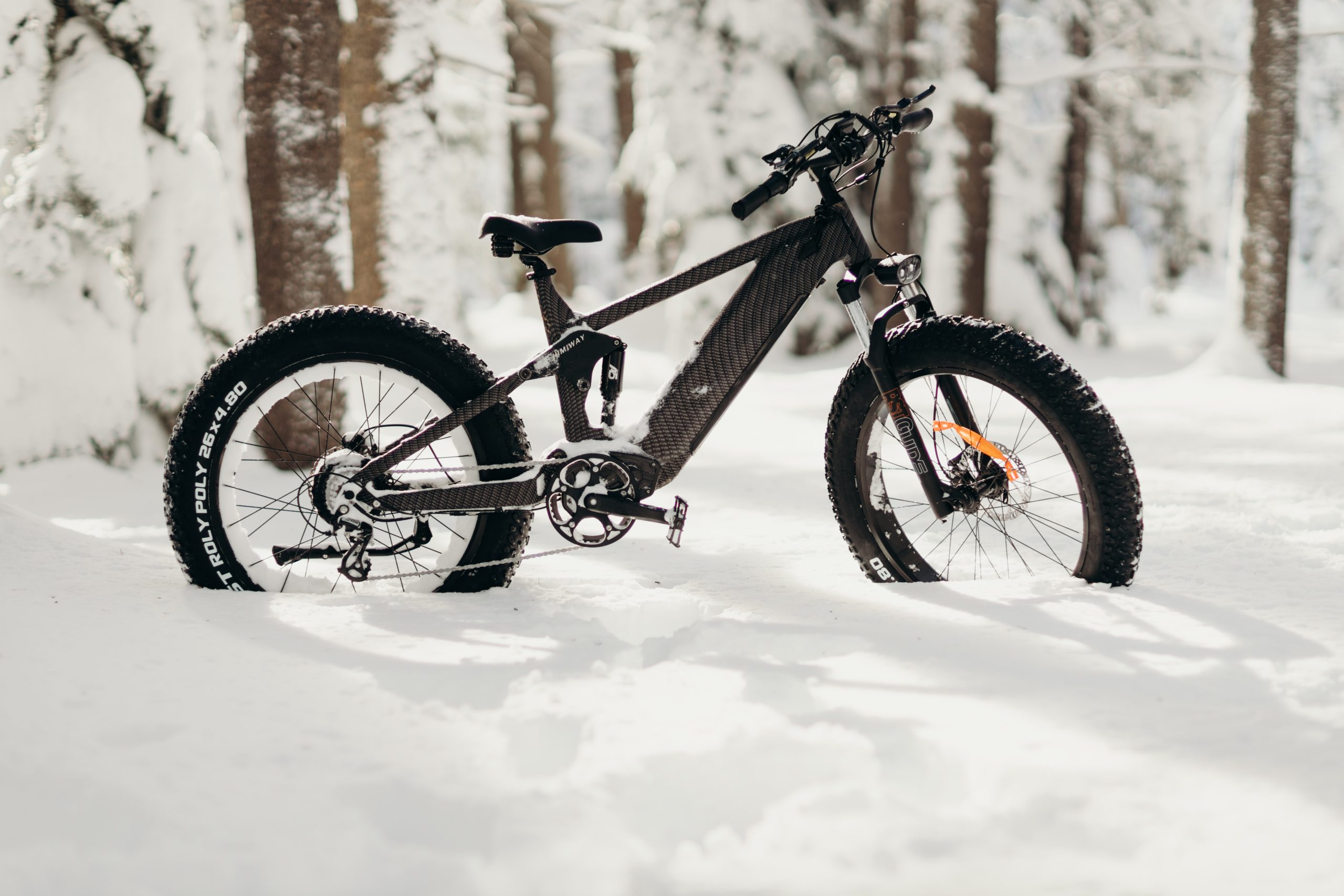 electric bike in the snow
